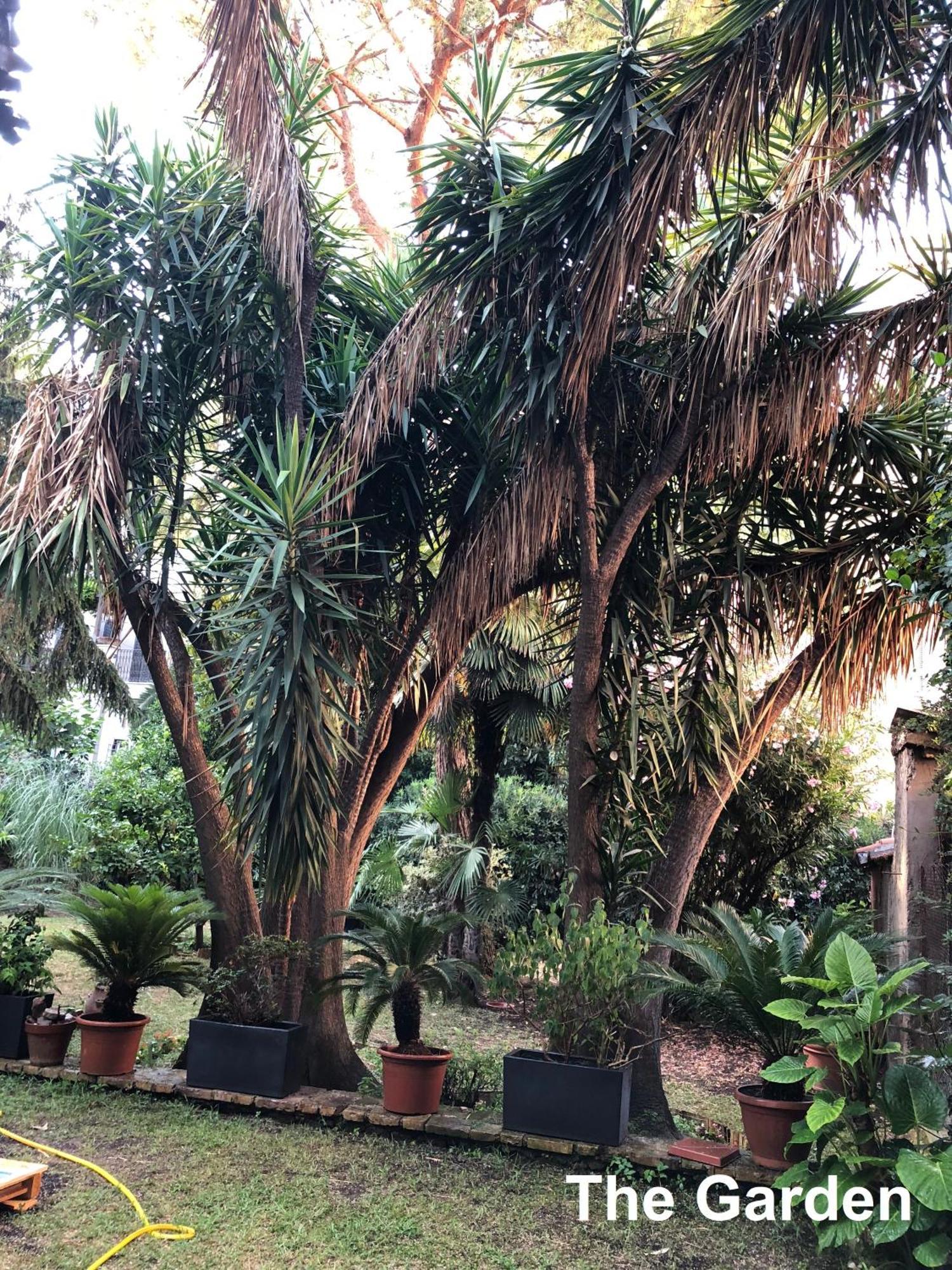 Le Tre M - Guesthouse Roma Dış mekan fotoğraf